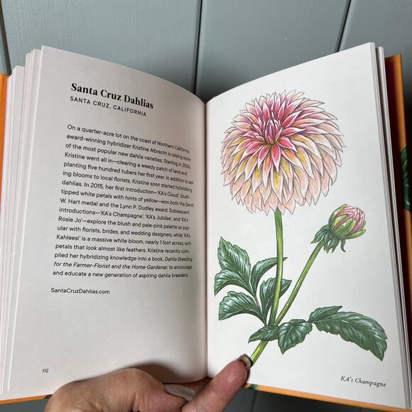 Dahlias‎ a Little Book of Flowers - Tara Austen Weaver - Picture 7 of 7